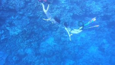 晚到却是“王炸”！红旗EH7曝光，百公里加速3.9秒
