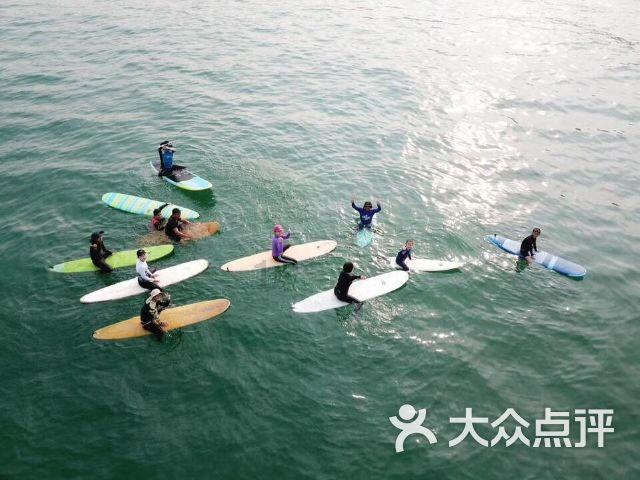 单身狗大作战