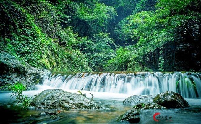 寂静森林找星星