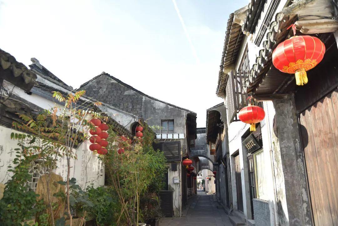 路遇晕倒老人 她跪地施救